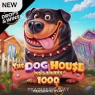 Аппарат The Dog House 1000 от Pragmatic Play